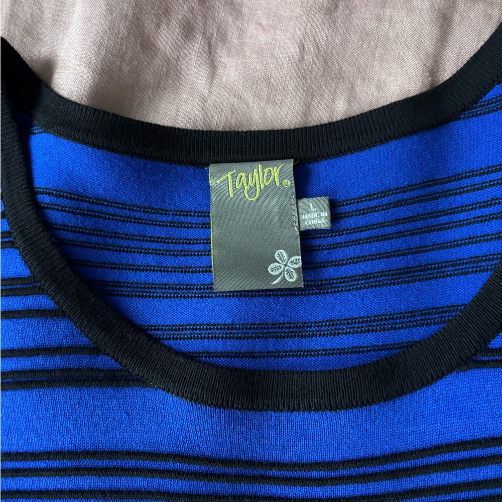 Taylor Blue and Black Striped Mini Dress - Picture 3 of 5